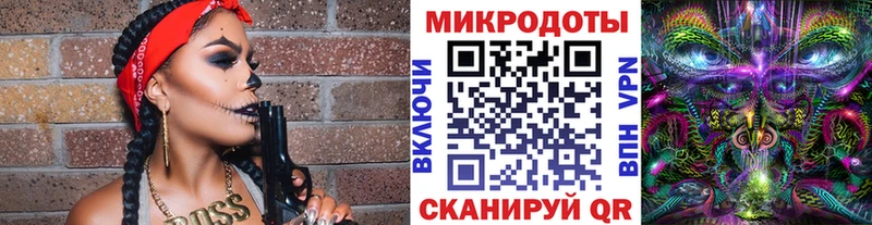 что такое   Саров  Галлюциногенные грибы Magic Shrooms 